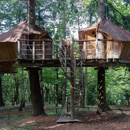 Les Cabanes De Labrousse Saint-Julien-Labrousse 外观 照片
